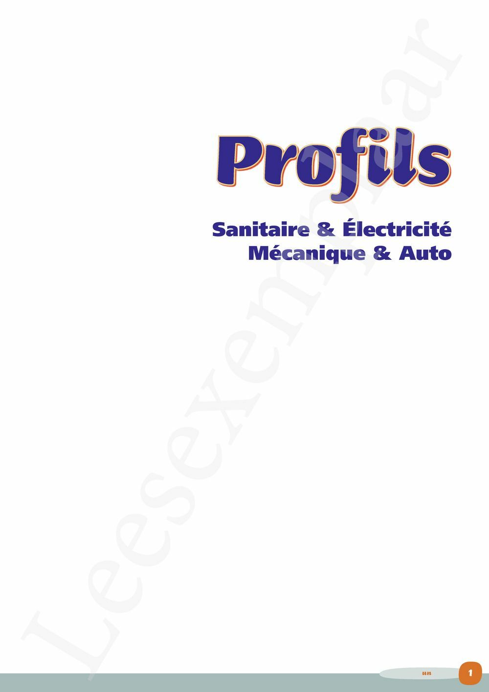 Preview: Profils Sanitaire & Electricité, Mécanique & Auto Vaktaalleerwerkboek