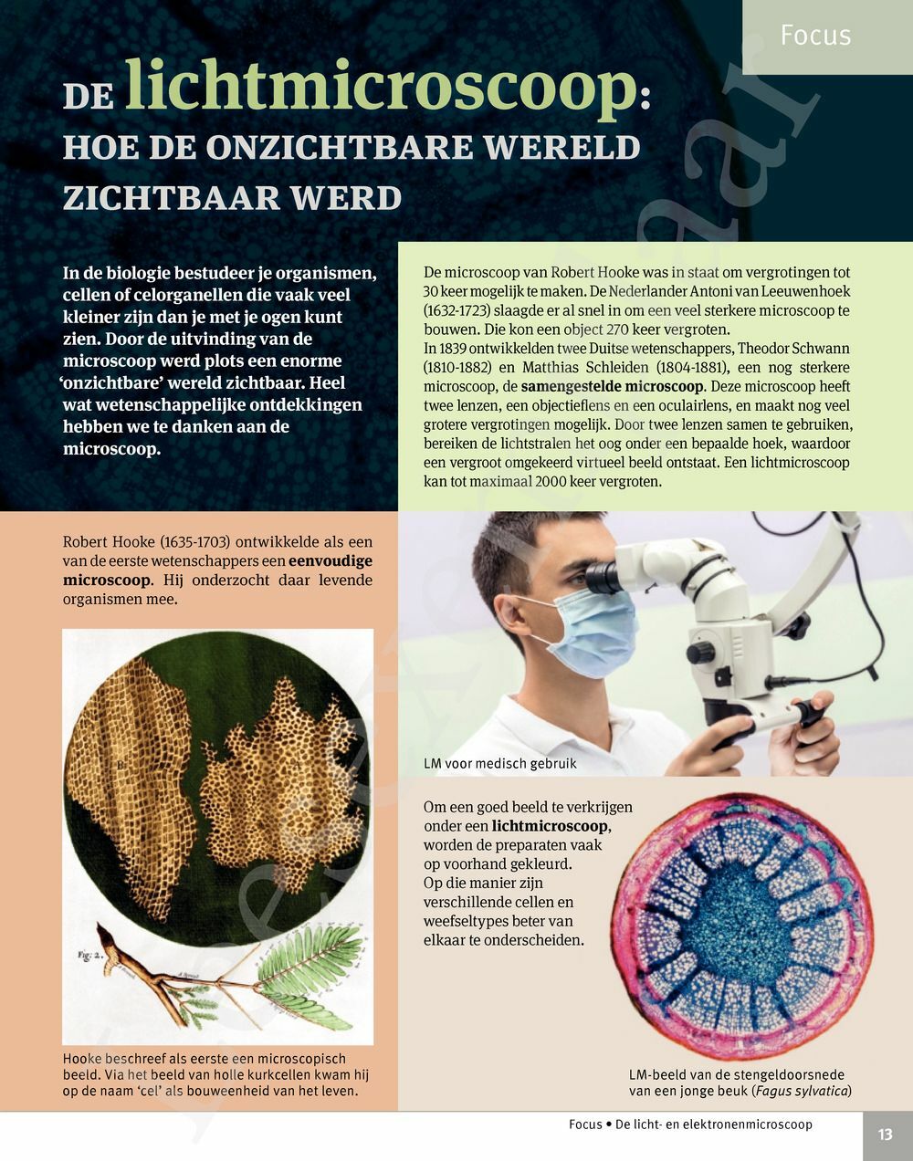 Preview: Focus Biologie 5 Cel en celprocessen Handboek (incl. Pelckmans Portaal)