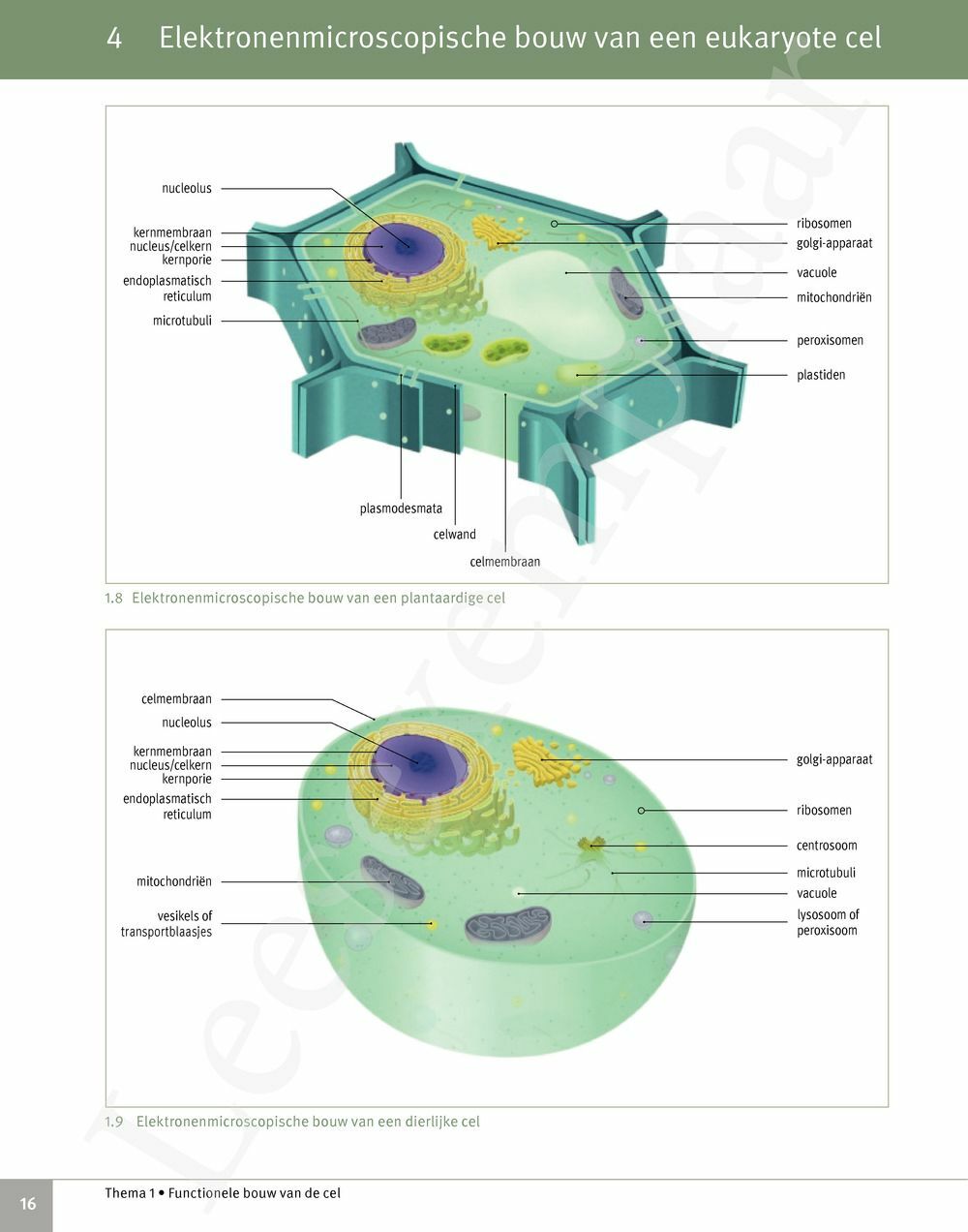 Preview: Focus Biologie 5 Cel en celprocessen Handboek (incl. Pelckmans Portaal)