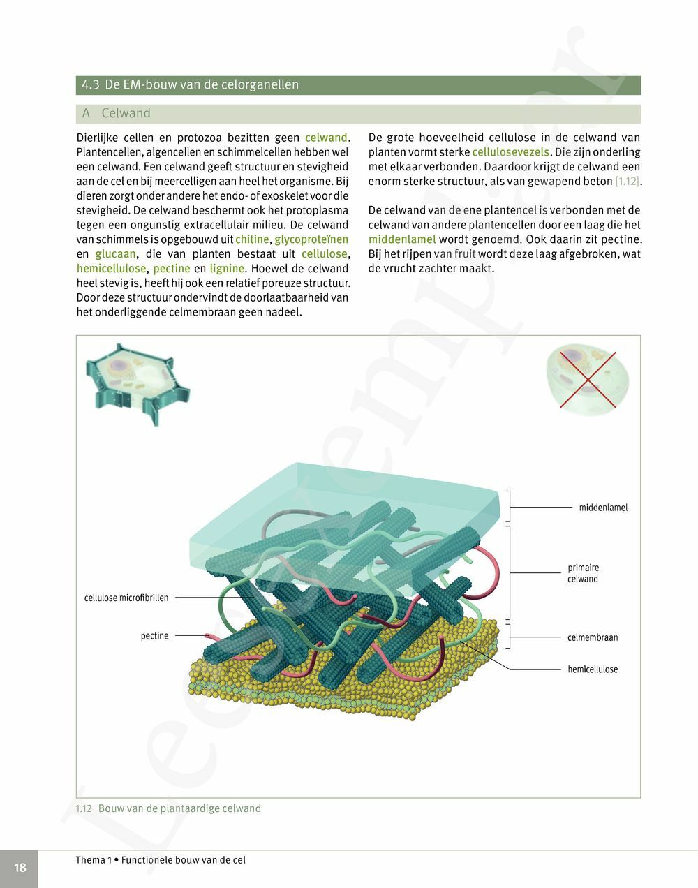 Preview: Focus Biologie 5 Cel en celprocessen Handboek (incl. Pelckmans Portaal)