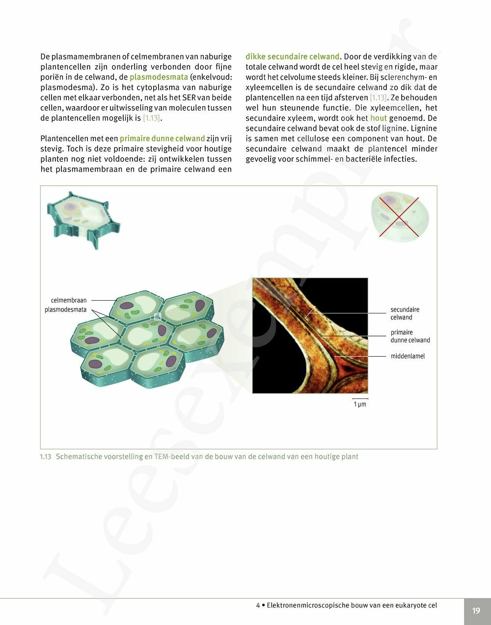 Preview: Focus Biologie 5 Cel en celprocessen Handboek (incl. Pelckmans Portaal)