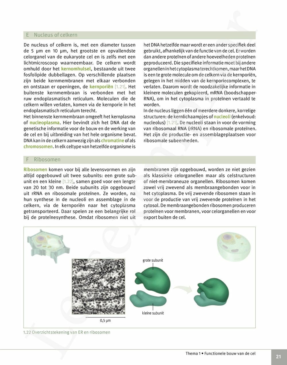 Preview: Focus Biologie 5 Cel en celprocessen Handboek (incl. Pelckmans Portaal)