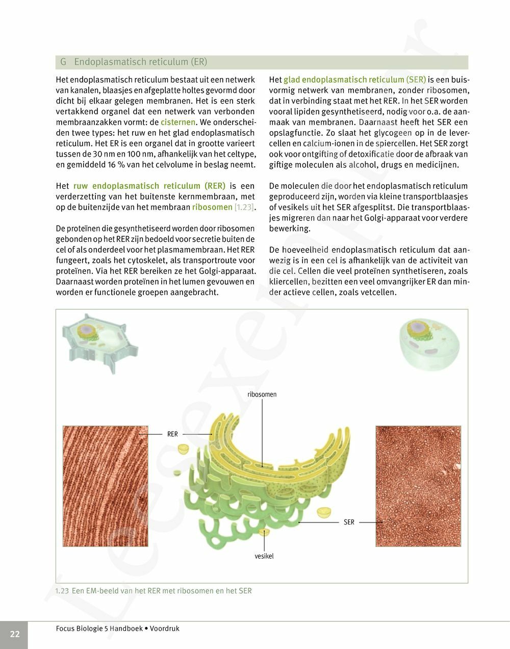 Preview: Focus Biologie 5 Cel en celprocessen Handboek (incl. Pelckmans Portaal)