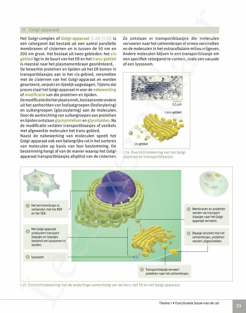 Preview: Focus Biologie 5 Cel en celprocessen Handboek (incl. Pelckmans Portaal)