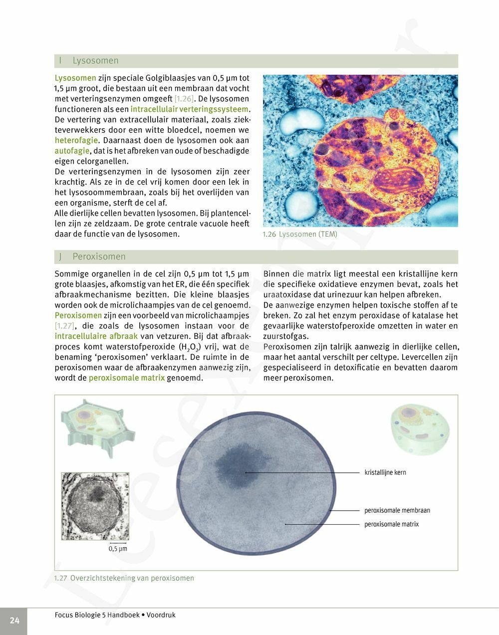 Preview: Focus Biologie 5 Cel en celprocessen Handboek (incl. Pelckmans Portaal)