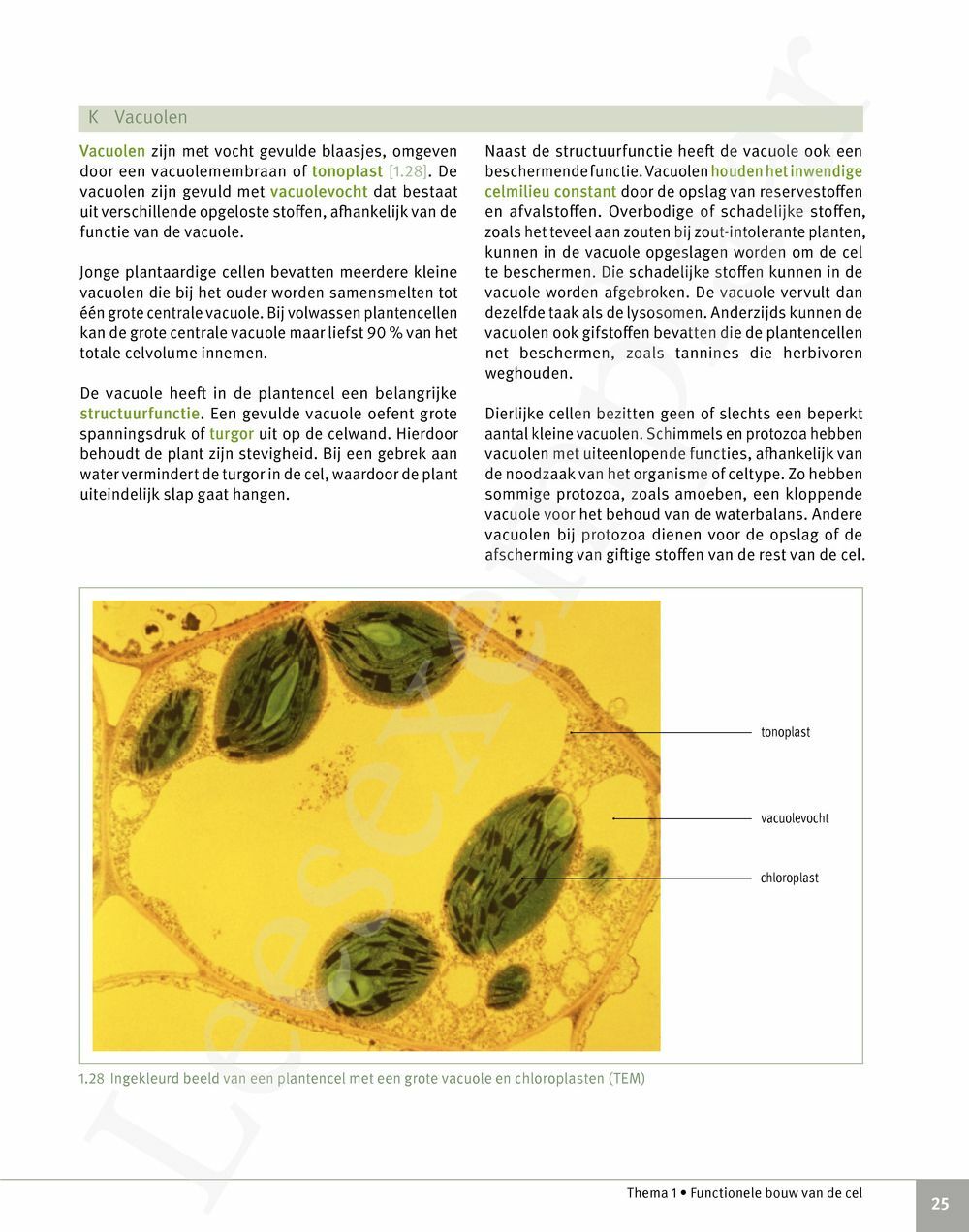 Preview: Focus Biologie 5 Cel en celprocessen Handboek (incl. Pelckmans Portaal)