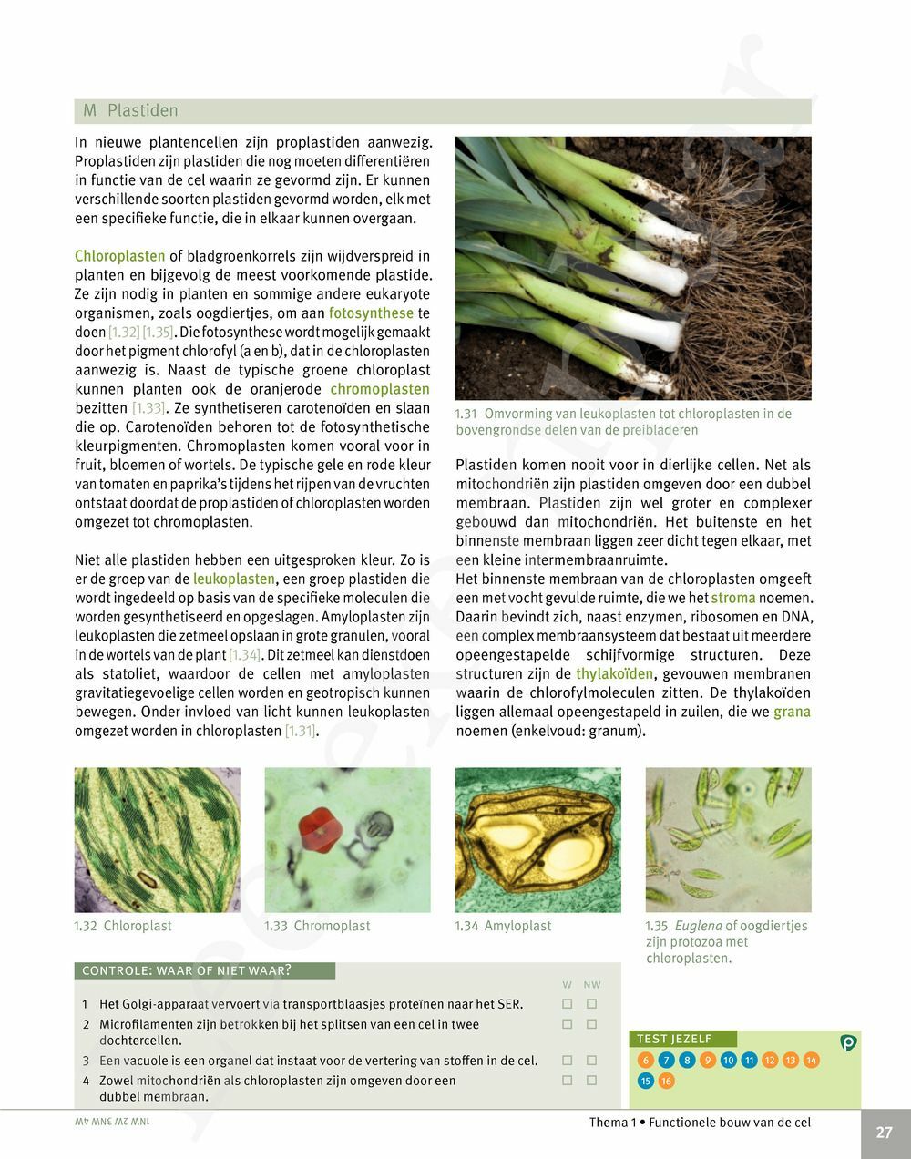 Preview: Focus Biologie 5 Cel en celprocessen Handboek (incl. Pelckmans Portaal)