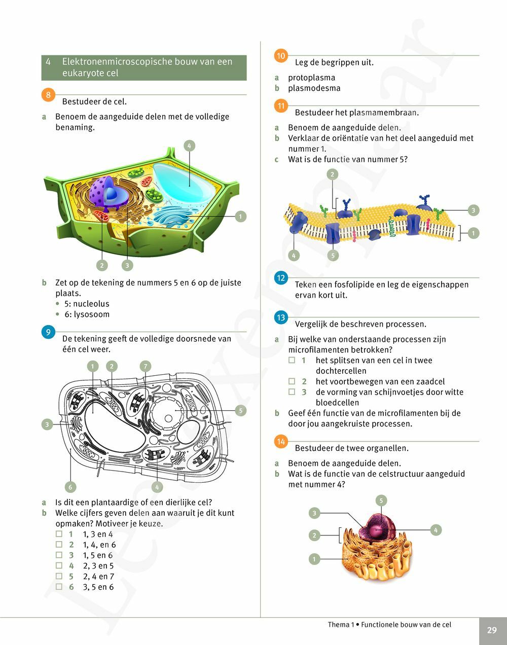 Preview: Focus Biologie 5 Cel en celprocessen Handboek (incl. Pelckmans Portaal)