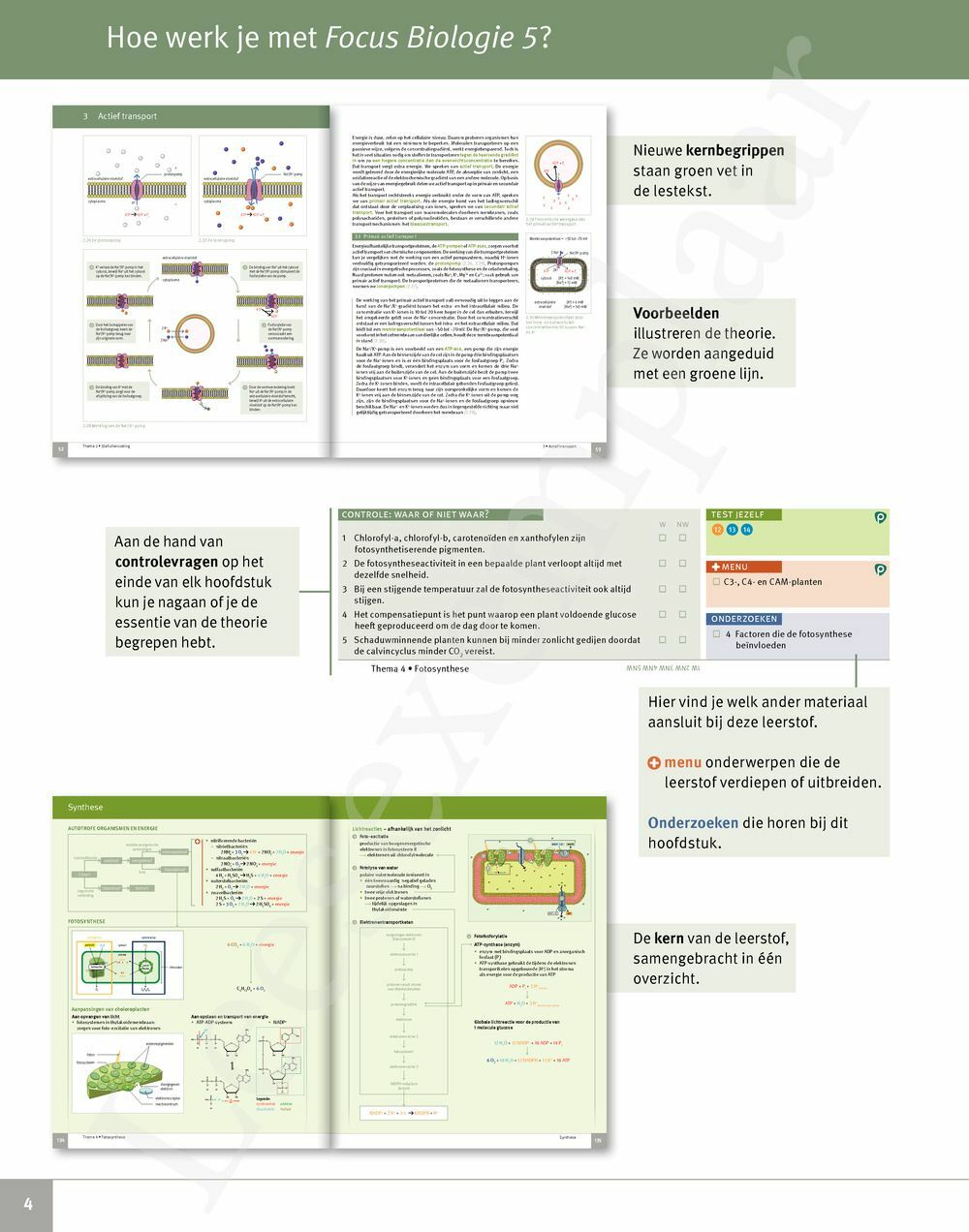 Preview: Focus Biologie 5 Cel en celprocessen Handboek (incl. Pelckmans Portaal)