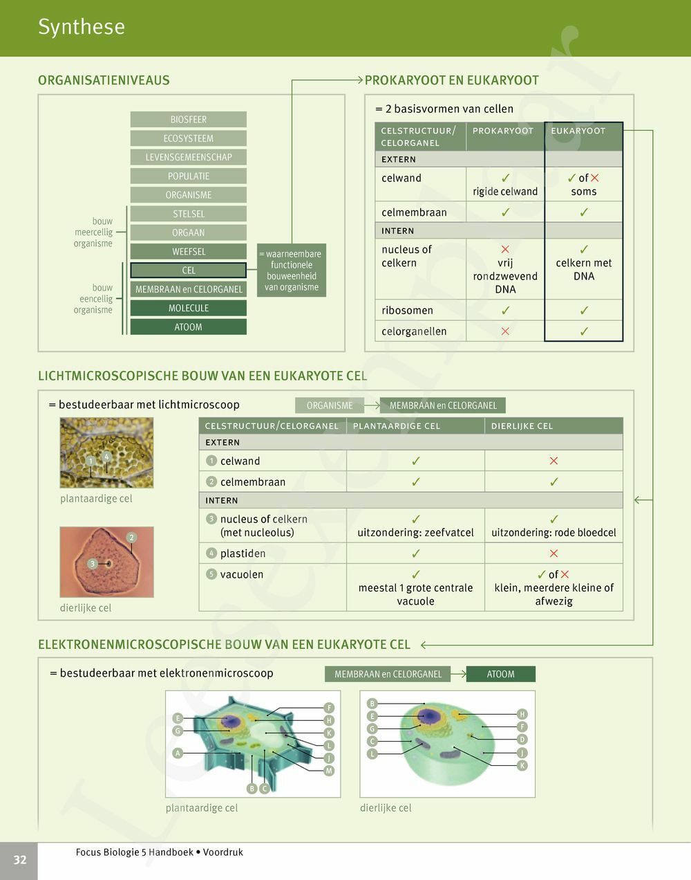 Preview: Focus Biologie 5 Cel en celprocessen Handboek (incl. Pelckmans Portaal)