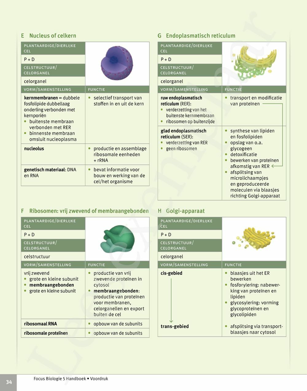 Preview: Focus Biologie 5 Cel en celprocessen Handboek (incl. Pelckmans Portaal)