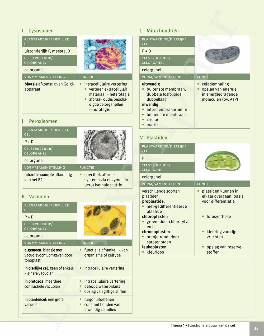 Preview: Focus Biologie 5 Cel en celprocessen Handboek (incl. Pelckmans Portaal)