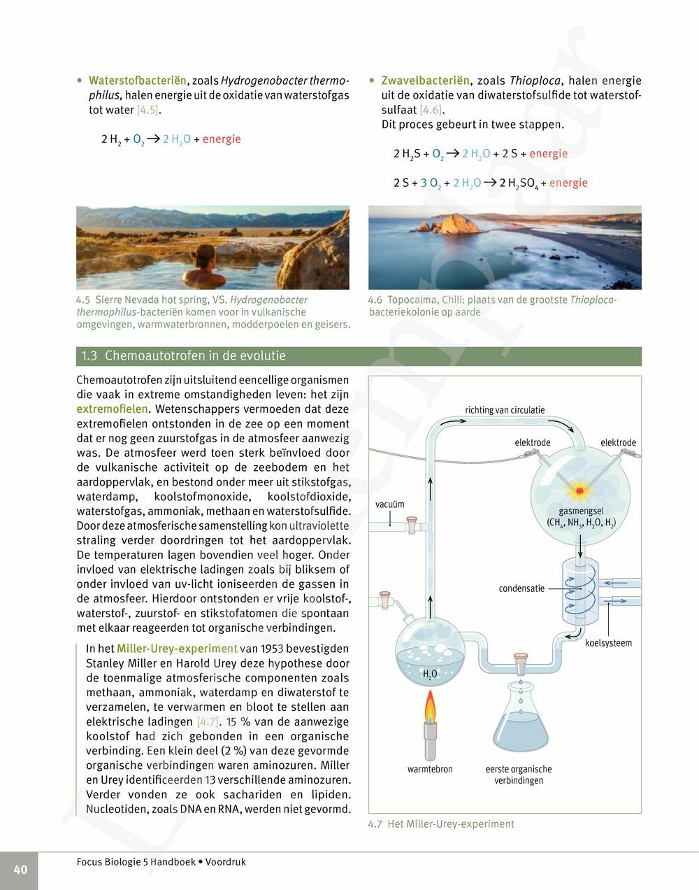 Preview: Focus Biologie 5 Cel en celprocessen Handboek (incl. Pelckmans Portaal)