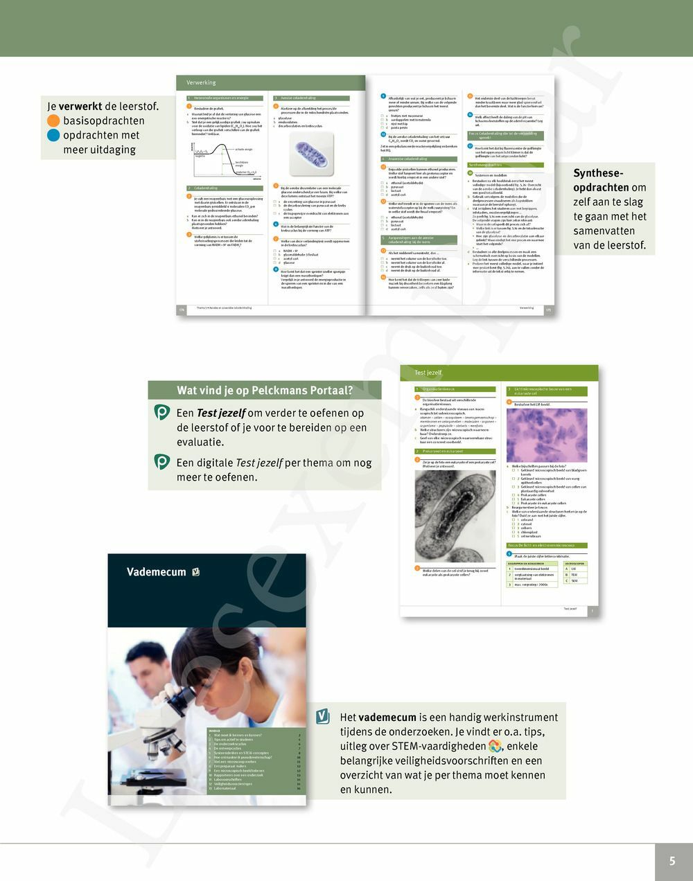 Preview: Focus Biologie 5 Cel en celprocessen Handboek (incl. Pelckmans Portaal)