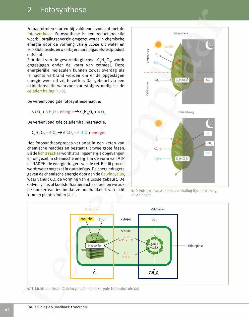 Preview: Focus Biologie 5 Cel en celprocessen Handboek (incl. Pelckmans Portaal)