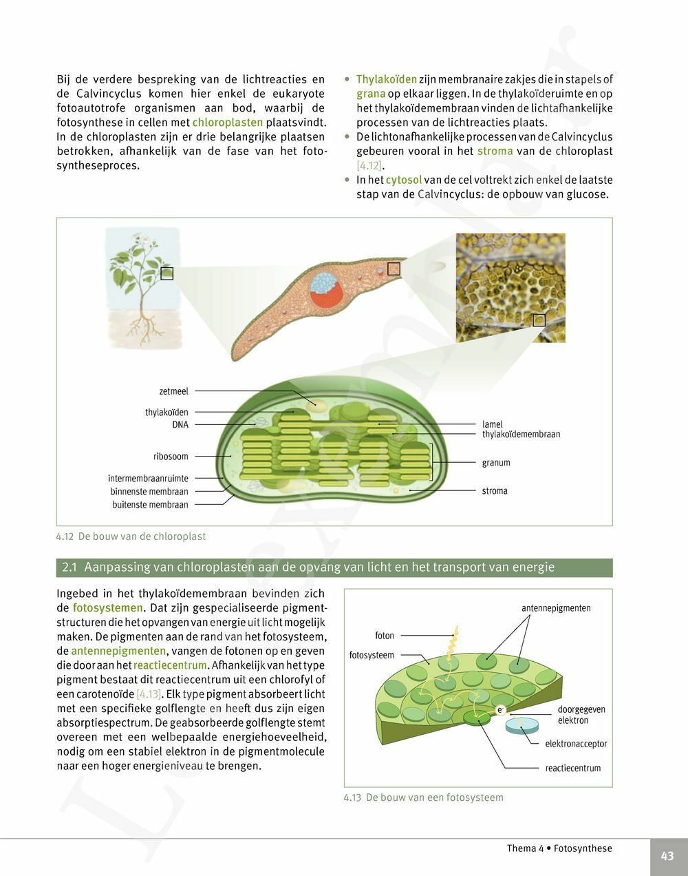 Preview: Focus Biologie 5 Cel en celprocessen Handboek (incl. Pelckmans Portaal)