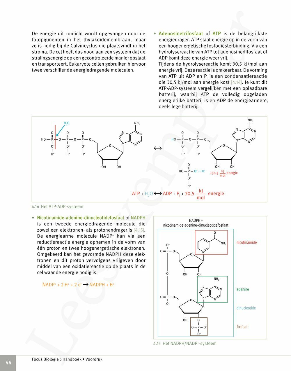 Preview: Focus Biologie 5 Cel en celprocessen Handboek (incl. Pelckmans Portaal)