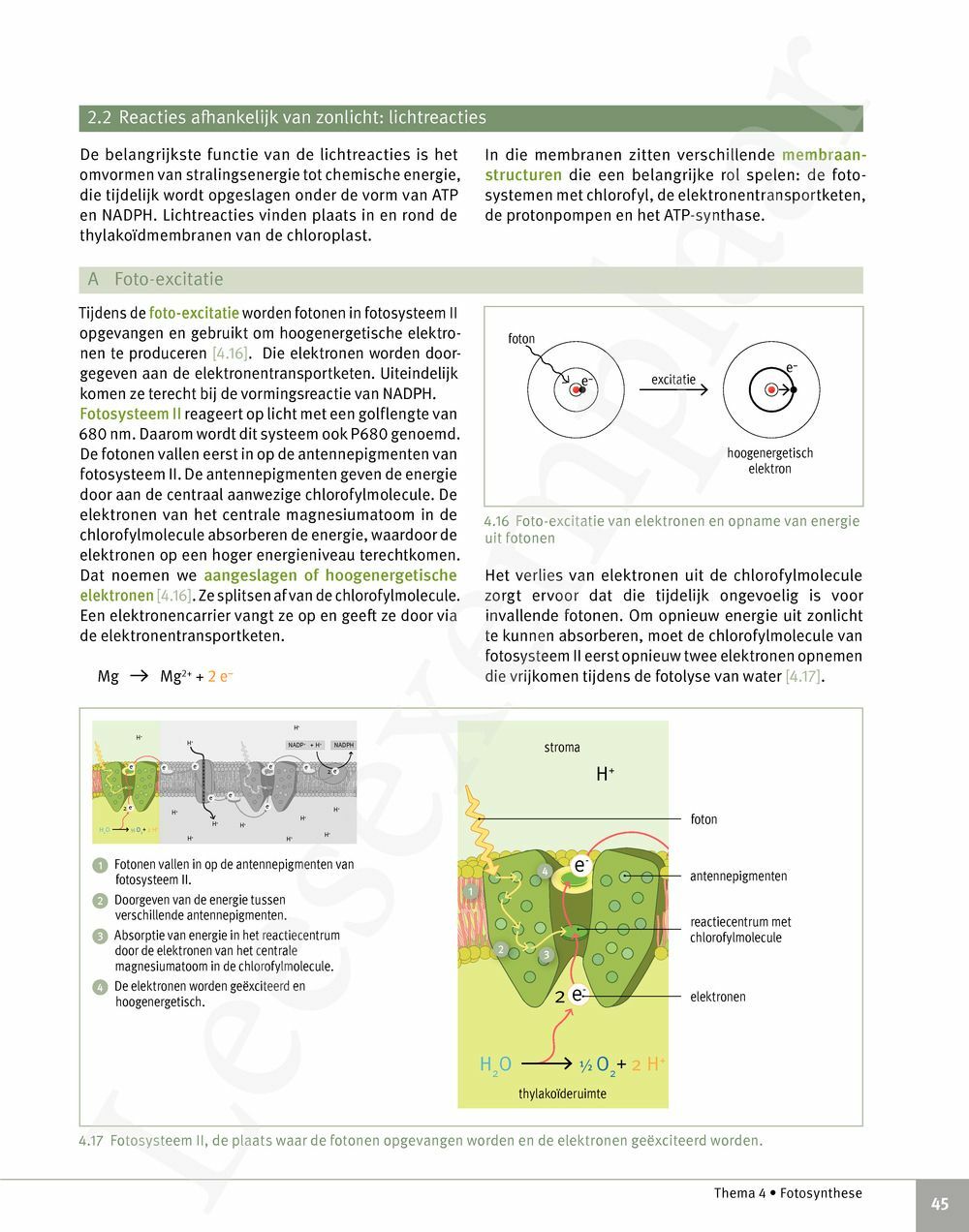 Preview: Focus Biologie 5 Cel en celprocessen Handboek (incl. Pelckmans Portaal)