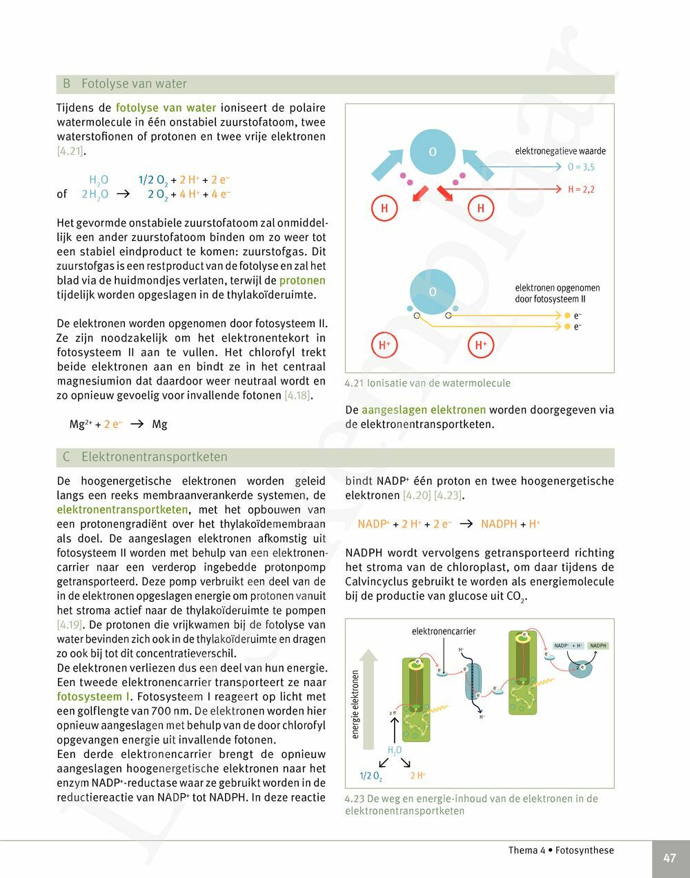 Preview: Focus Biologie 5 Cel en celprocessen Handboek (incl. Pelckmans Portaal)