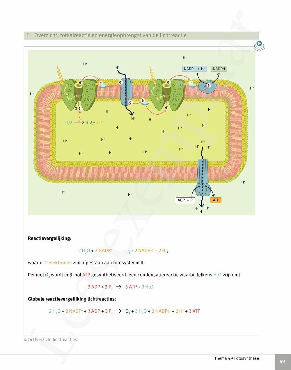 Preview: Focus Biologie 5 Cel en celprocessen Handboek (incl. Pelckmans Portaal)