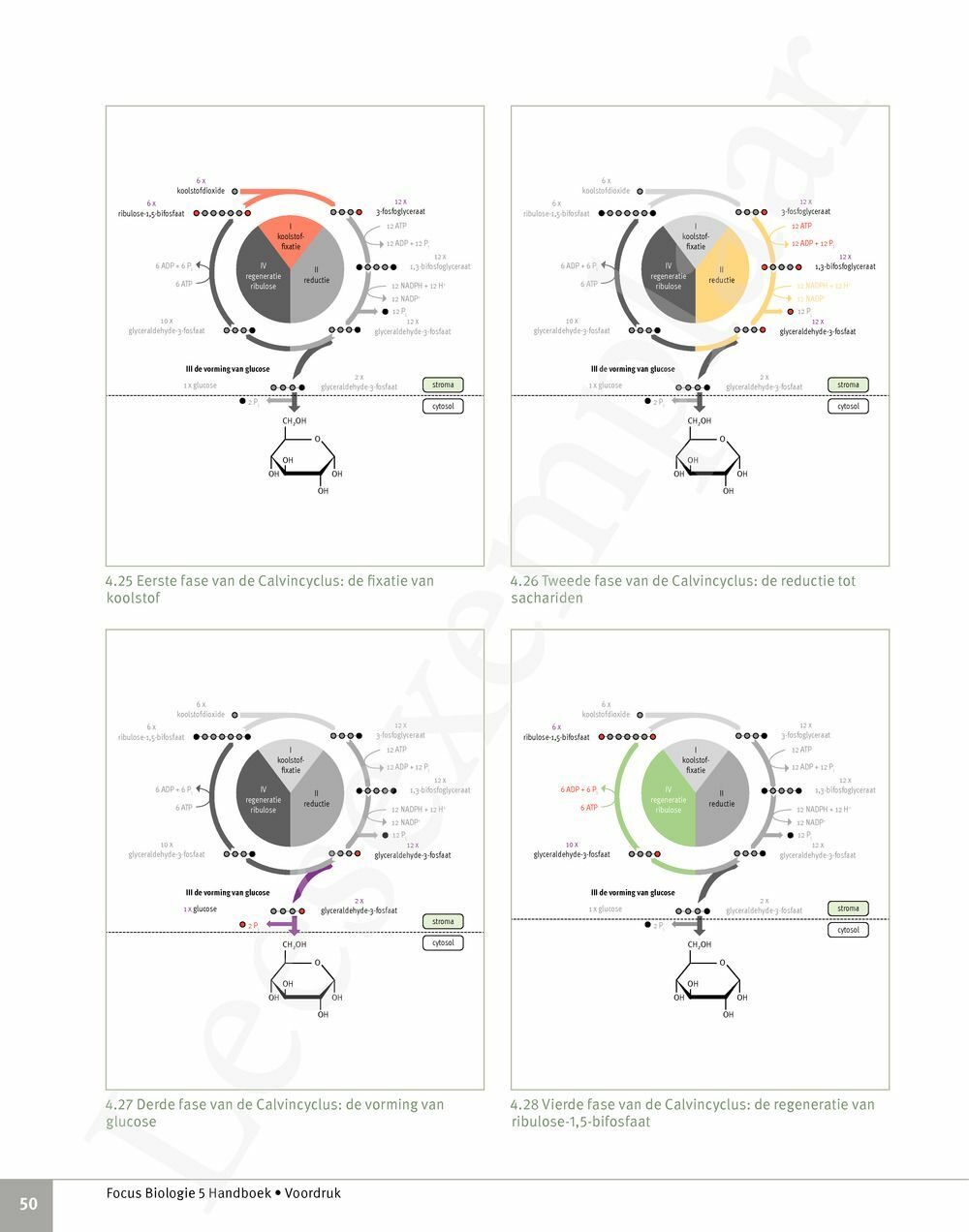 Preview: Focus Biologie 5 Cel en celprocessen Handboek (incl. Pelckmans Portaal)