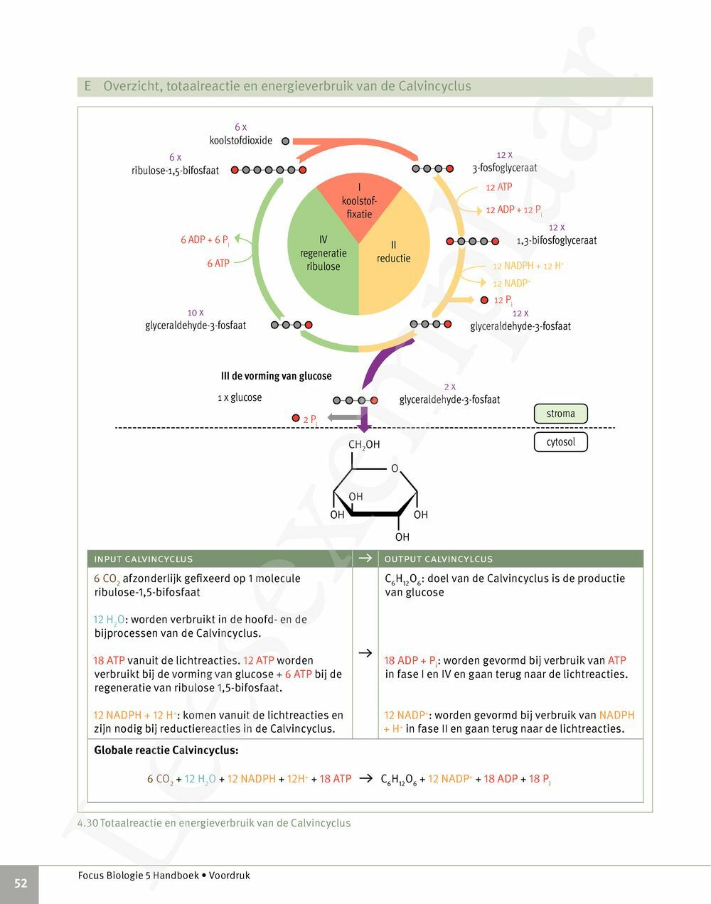 Preview: Focus Biologie 5 Cel en celprocessen Handboek (incl. Pelckmans Portaal)