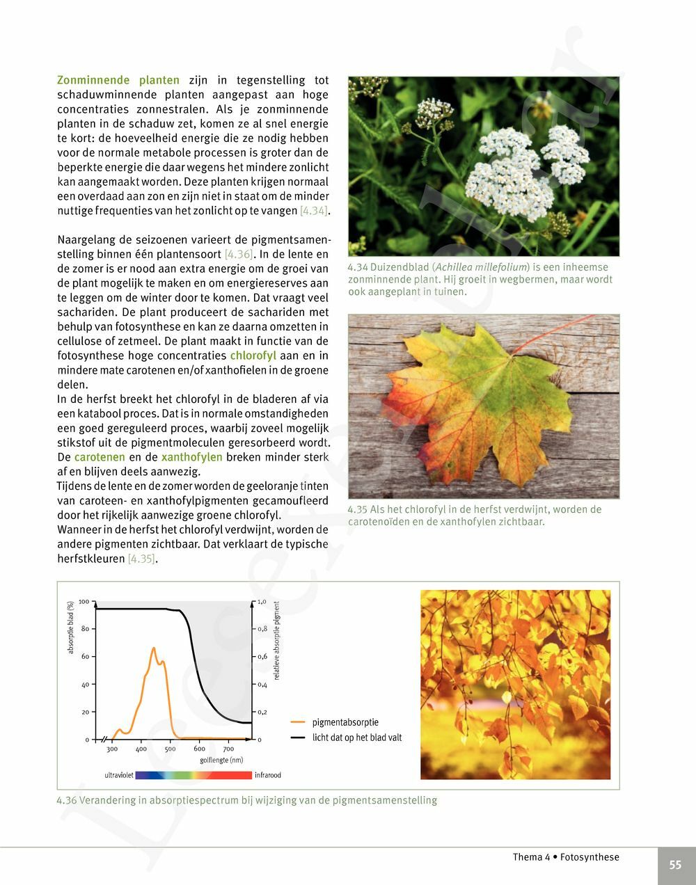 Preview: Focus Biologie 5 Cel en celprocessen Handboek (incl. Pelckmans Portaal)