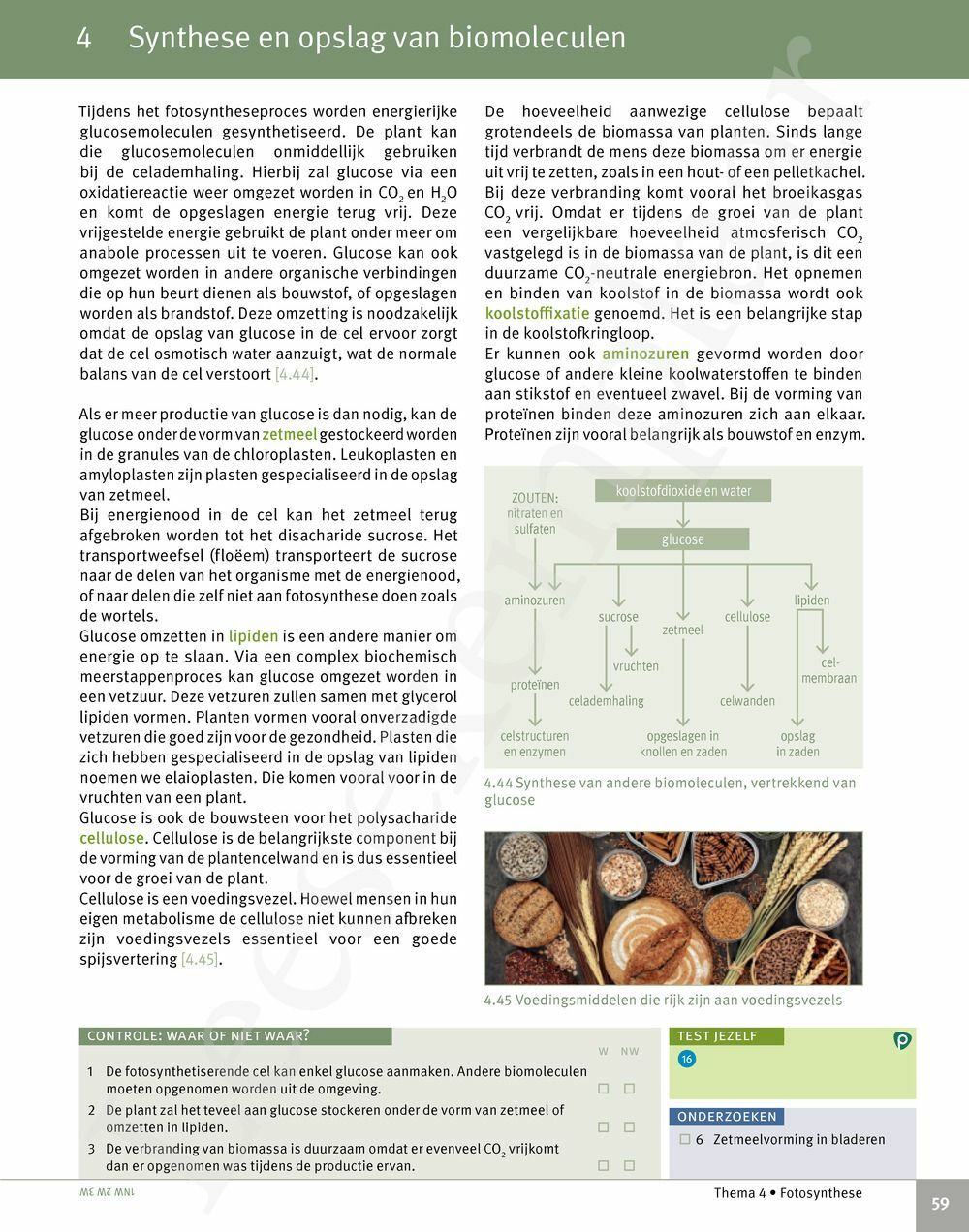 Preview: Focus Biologie 5 Cel en celprocessen Handboek (incl. Pelckmans Portaal)