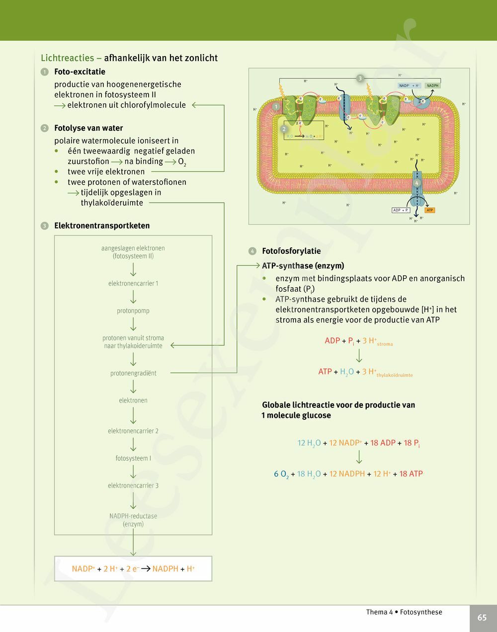 Preview: Focus Biologie 5 Cel en celprocessen Handboek (incl. Pelckmans Portaal)