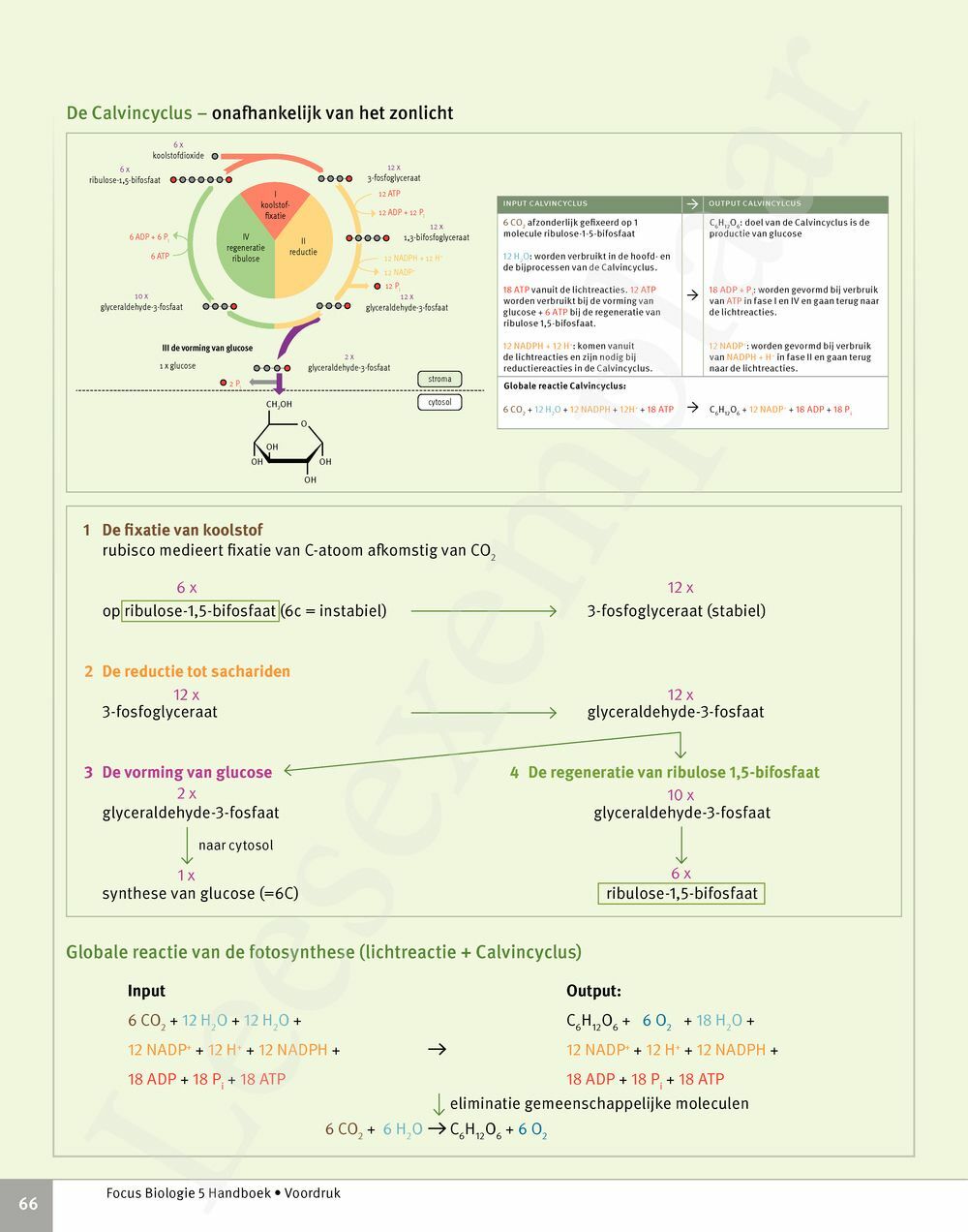 Preview: Focus Biologie 5 Cel en celprocessen Handboek (incl. Pelckmans Portaal)