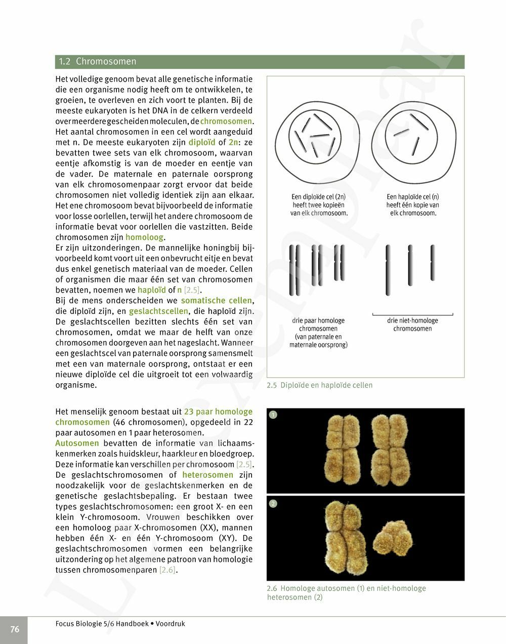 Preview: Focus Biologie 5 Cel en celprocessen Handboek (incl. Pelckmans Portaal)