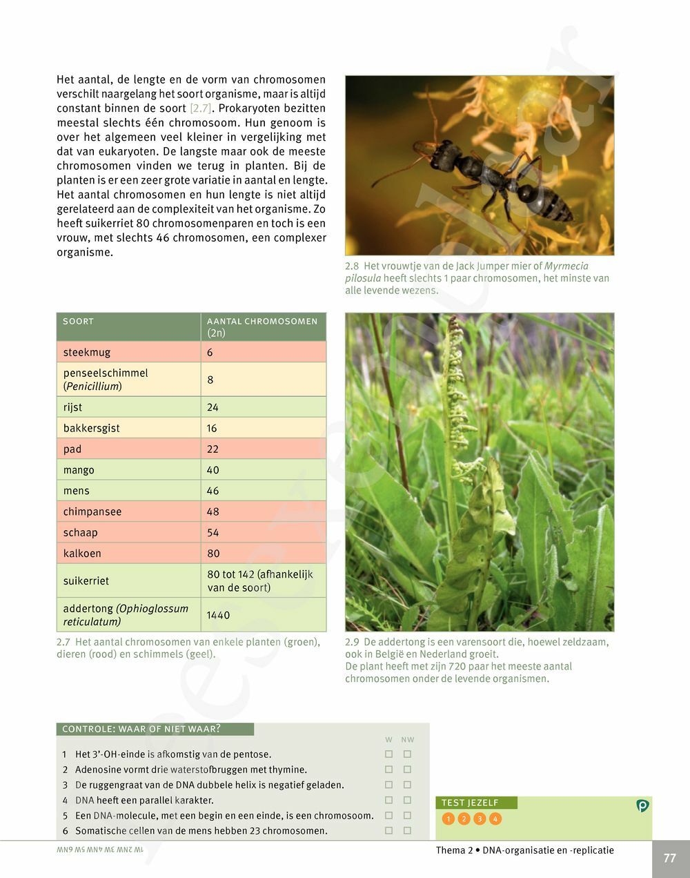 Preview: Focus Biologie 5 Cel en celprocessen Handboek (incl. Pelckmans Portaal)