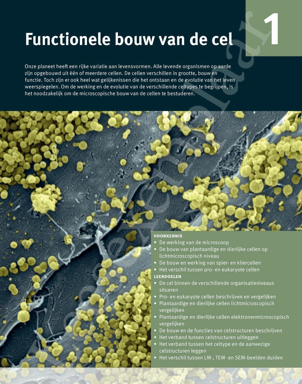 Preview: Focus Biologie 5 Cel en celprocessen Handboek (incl. Pelckmans Portaal)