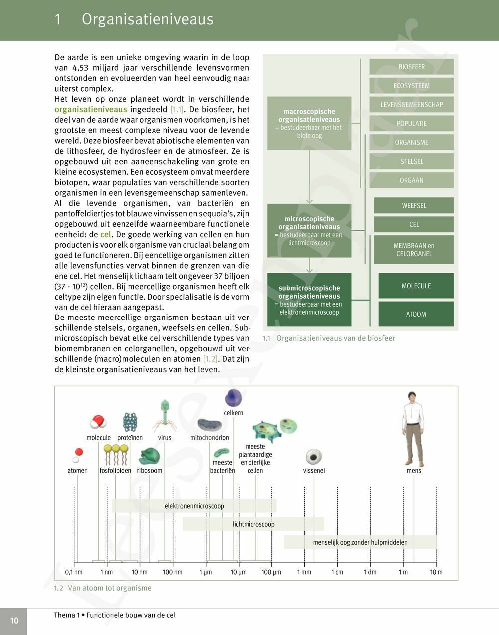 Preview: Focus Biologie 5 Cel en celprocessen Handboek (incl. Pelckmans Portaal)