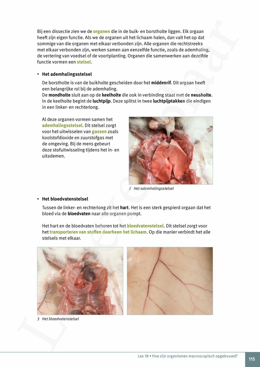 Preview: Explo 1 Leerwerkboek (incl. Pelckmans Portaal)