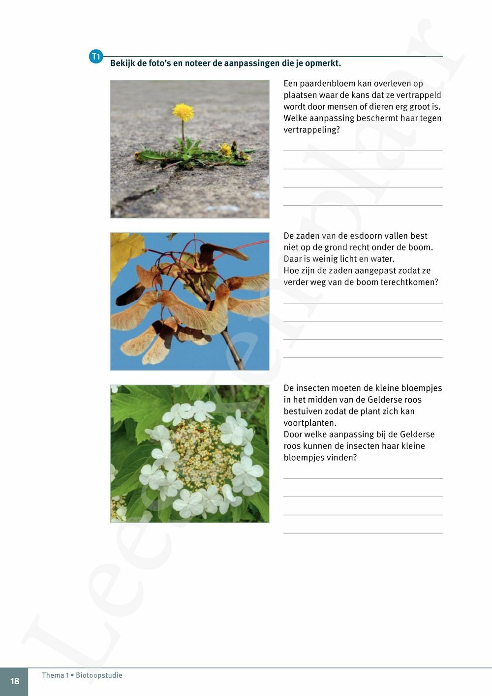 Preview: Explo 1 Leerwerkboek (incl. Pelckmans Portaal)
