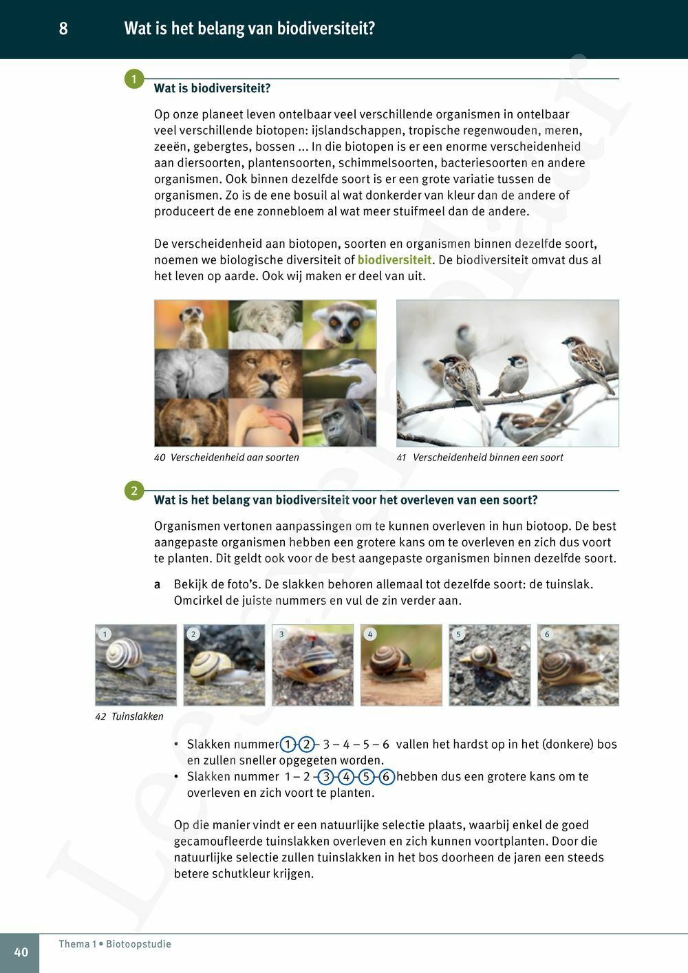 Preview: Explo 1 Leerwerkboek (incl. Pelckmans Portaal)