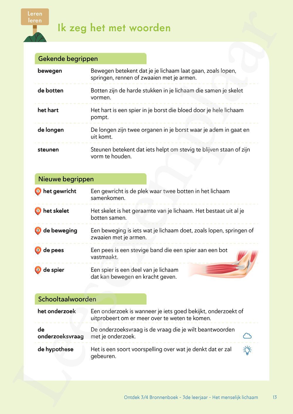 Preview: Ontdek 4 wetenschappen en techniek Werkboek