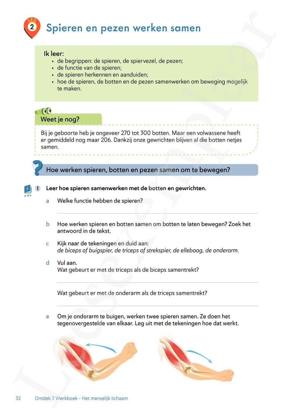 Preview: Ontdek 4 wetenschappen en techniek Werkboek