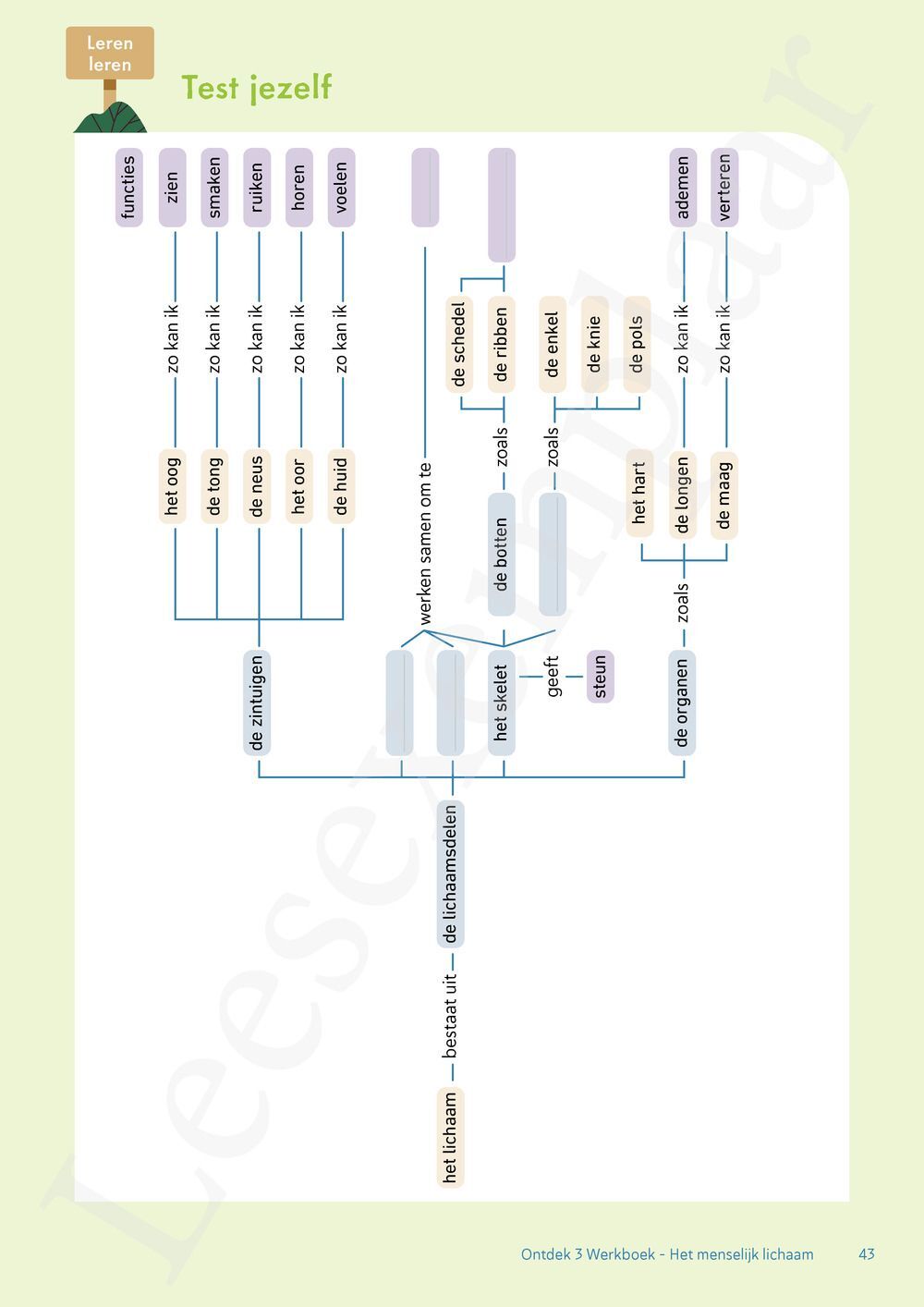 Preview: Ontdek 4 wetenschappen en techniek Werkboek