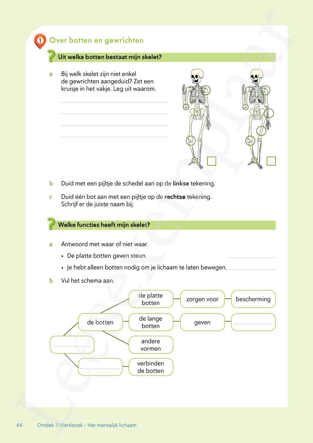Preview: Ontdek 4 wetenschappen en techniek Werkboek