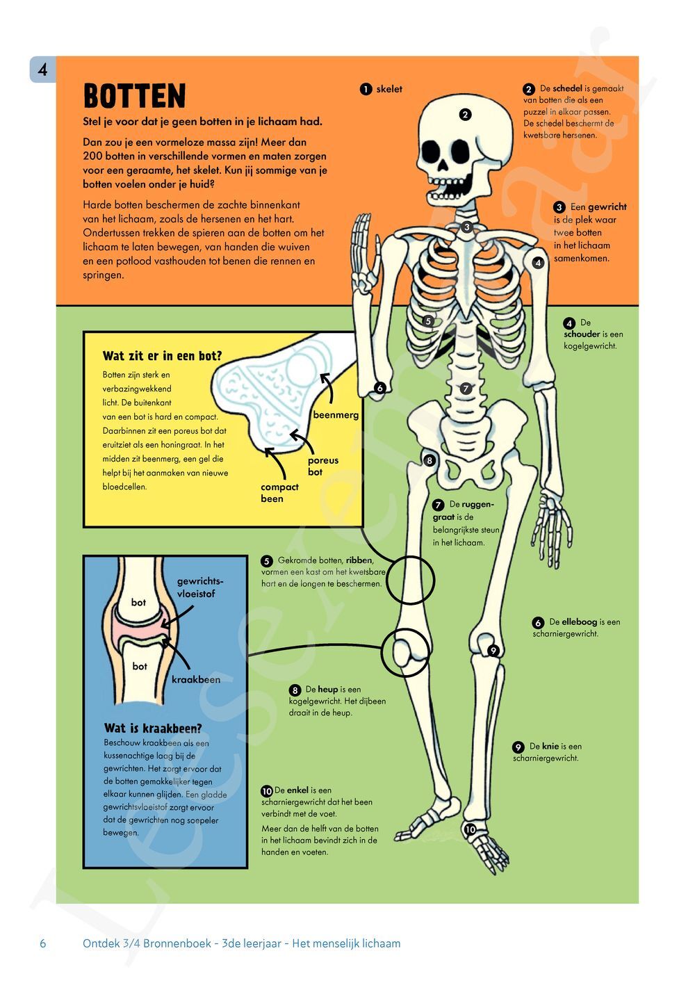 Preview: Ontdek 4 wetenschappen en techniek Werkboek