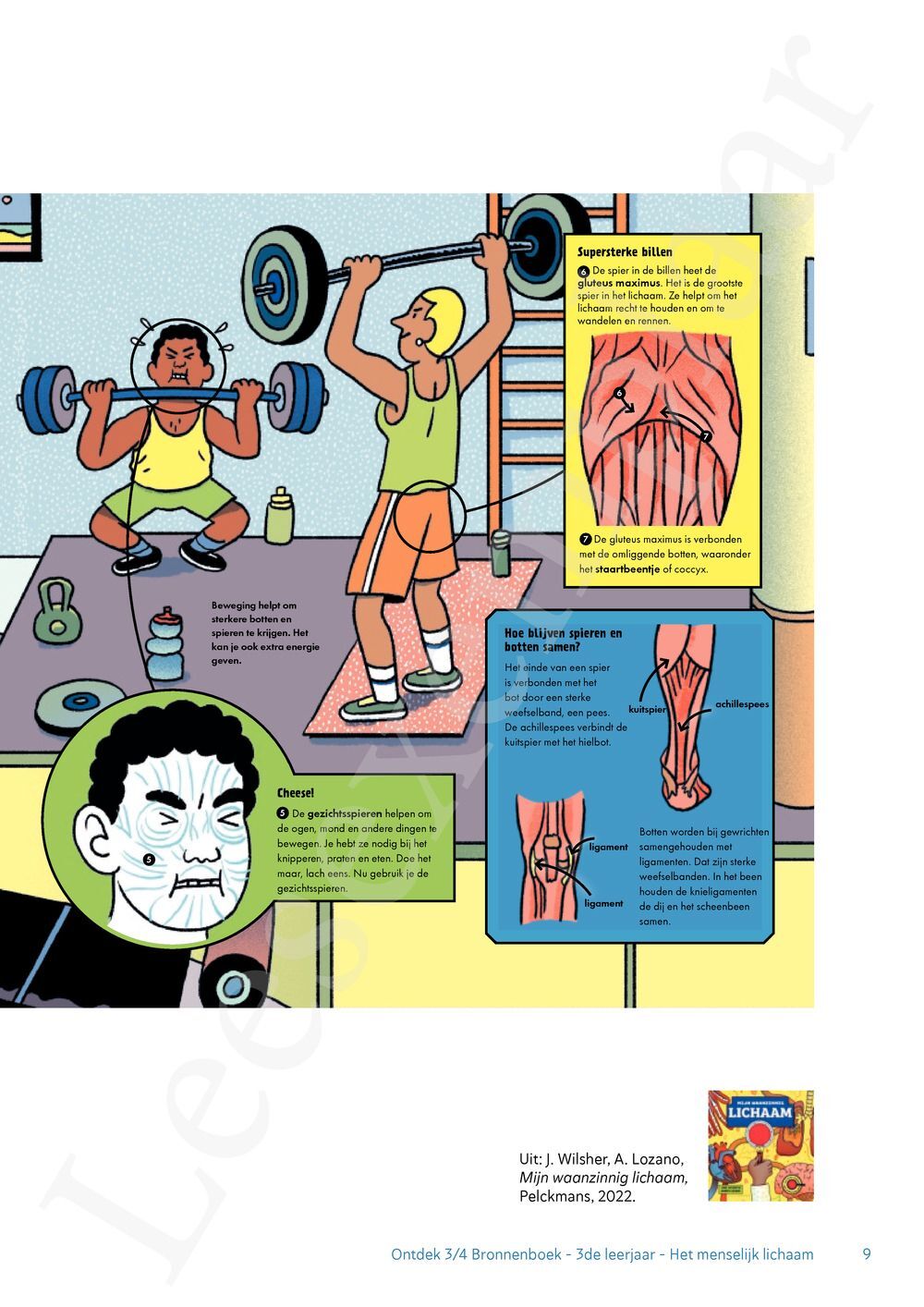 Preview: Ontdek 4 wetenschappen en techniek Werkboek