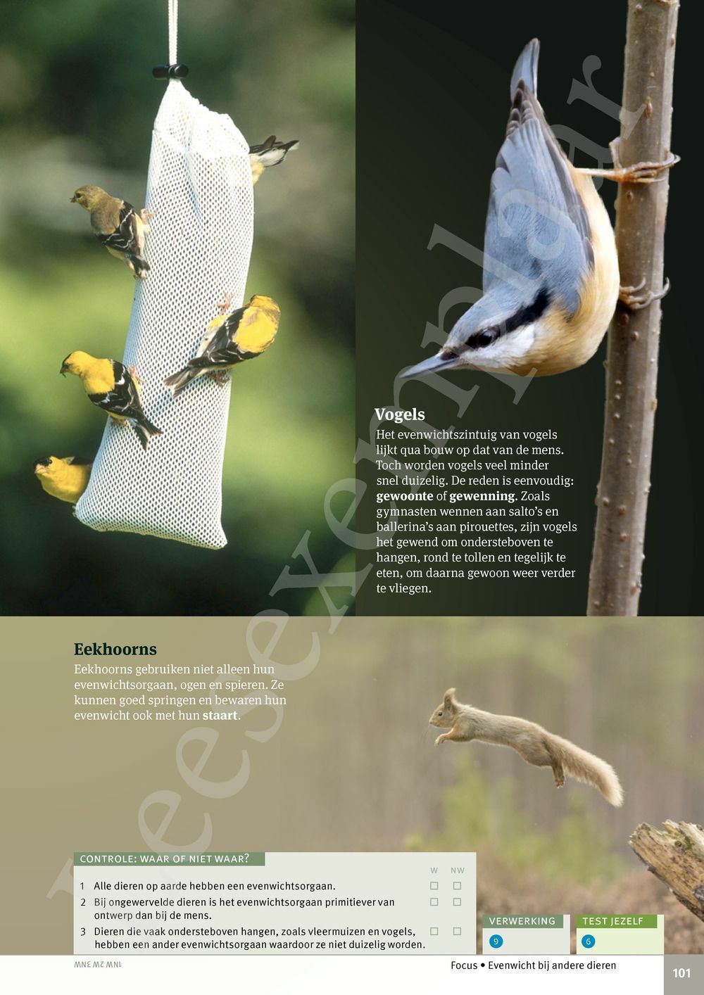 Preview: Focus Biologie 3.2 Leerwerkboek (incl. Pelckmans Portaal)