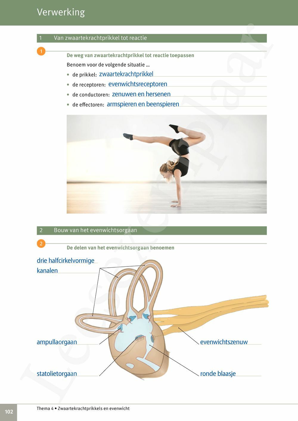 Preview: Focus Biologie 3.2 Leerwerkboek (incl. Pelckmans Portaal)