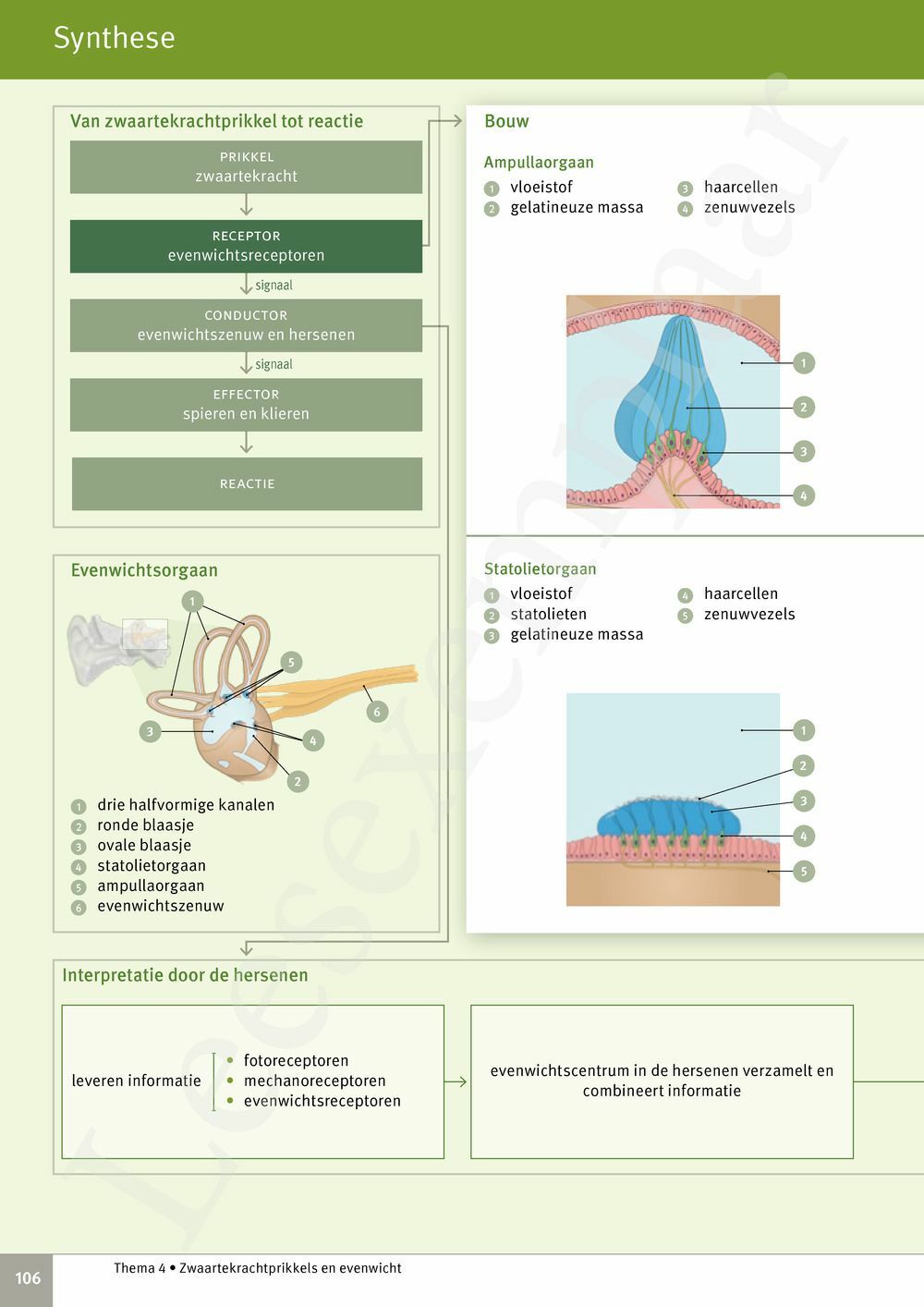 Preview: Focus Biologie 3.2 Leerwerkboek (incl. Pelckmans Portaal)
