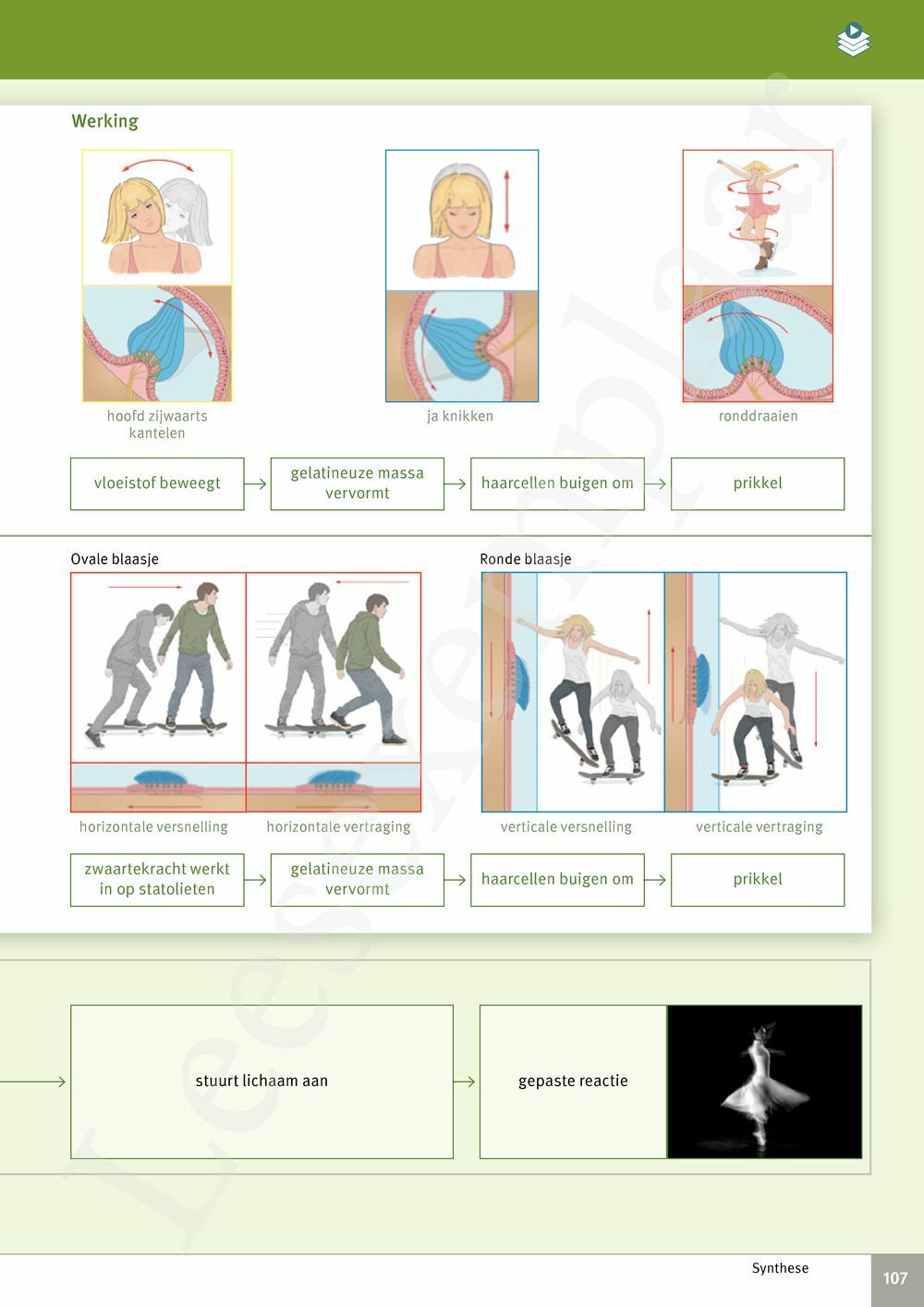 Preview: Focus Biologie 3.2 Leerwerkboek (incl. Pelckmans Portaal)