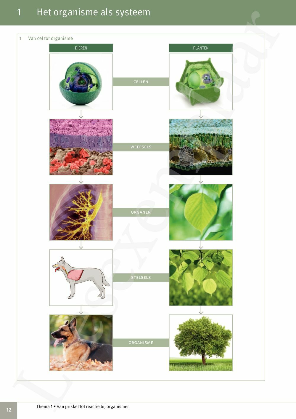 Preview: Focus Biologie 3.2 Leerwerkboek (incl. Pelckmans Portaal)