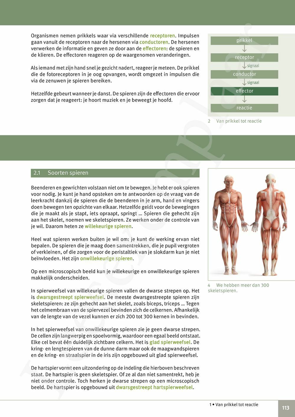 Preview: Focus Biologie 3.2 Leerwerkboek (incl. Pelckmans Portaal)