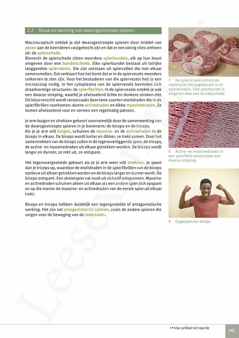 Preview: Focus Biologie 3.2 Leerwerkboek (incl. Pelckmans Portaal)